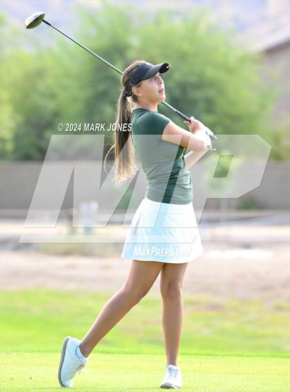 Thumbnail 1 in AIA Division I Championship photogallery.