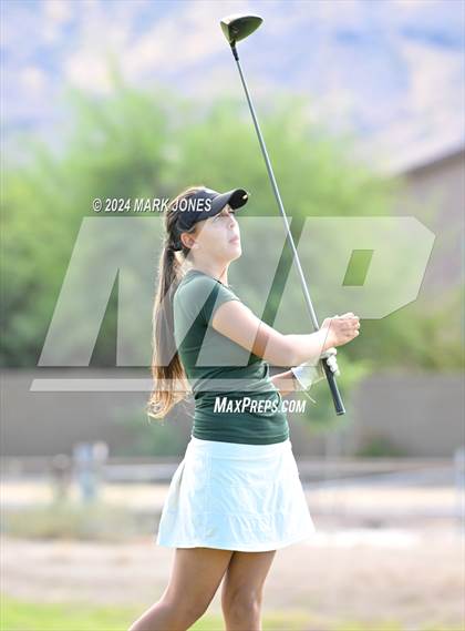 Thumbnail 2 in AIA Division I Championship photogallery.