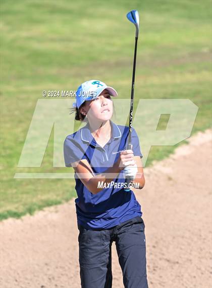 Thumbnail 1 in AIA Division I Championship photogallery.