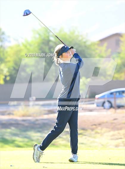 Thumbnail 1 in AIA Division I Championship photogallery.
