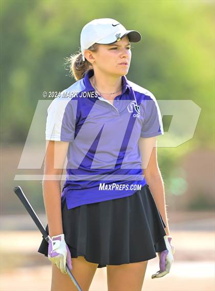 Thumbnail 1 in AIA Division I Championship photogallery.