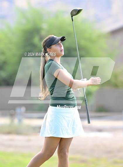 Thumbnail 3 in AIA Division I Championship photogallery.