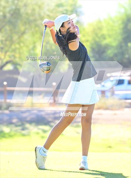 Thumbnail 3 in AIA Division I Championship photogallery.