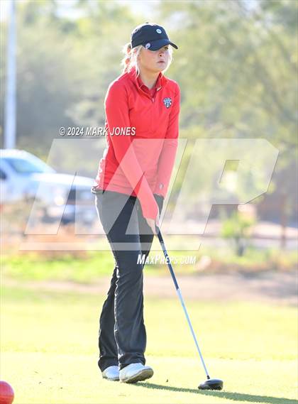Thumbnail 1 in AIA Division I Championship photogallery.