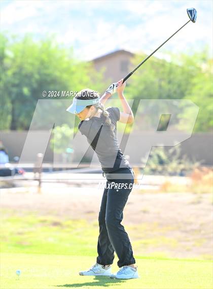 Thumbnail 2 in AIA Division I Championship photogallery.
