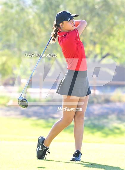 Thumbnail 3 in AIA Division I Championship photogallery.