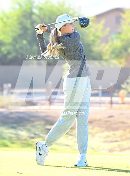 Thumbnail 1 in AIA Division I Championship photogallery.