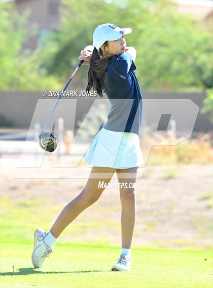 Thumbnail 1 in AIA Division I Championship photogallery.