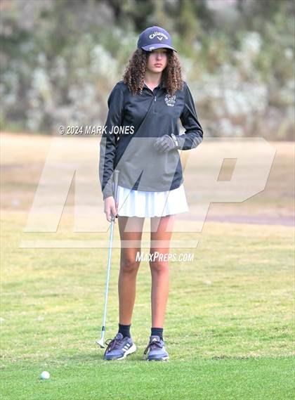 Thumbnail 1 in AIA Division I Championship photogallery.
