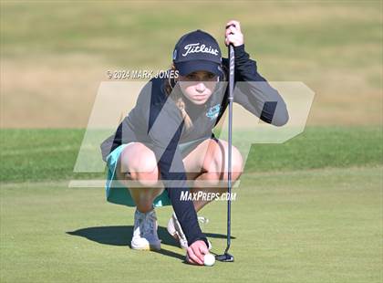Thumbnail 3 in AIA Division I Championship photogallery.