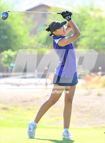 Thumbnail 3 in AIA Division I Championship photogallery.