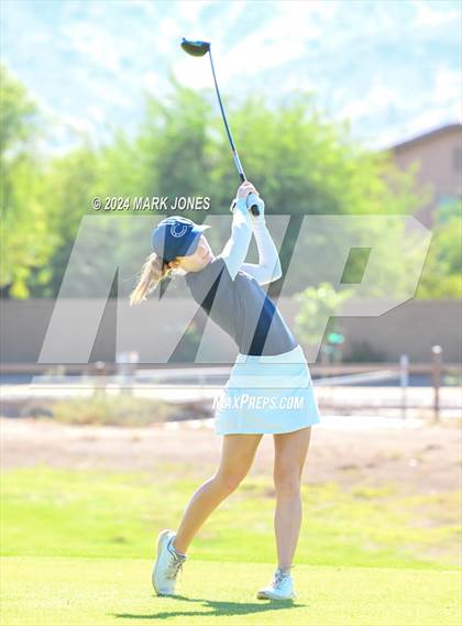 Thumbnail 1 in AIA Division I Championship photogallery.