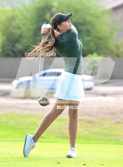 Thumbnail 1 in AIA Division I Championship photogallery.