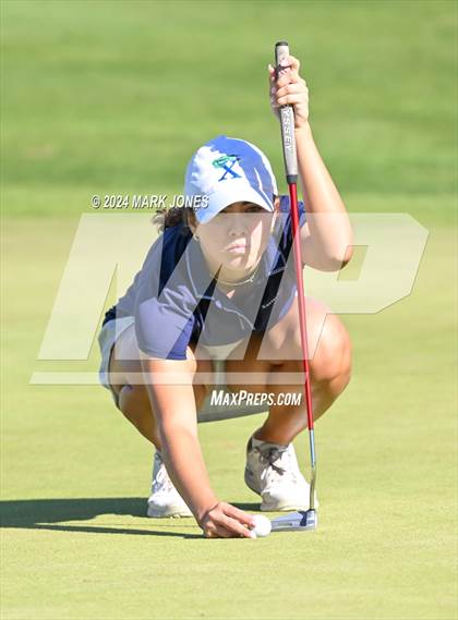 Thumbnail 1 in AIA Division I Championship photogallery.