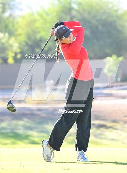Thumbnail 1 in AIA Division I Championship photogallery.