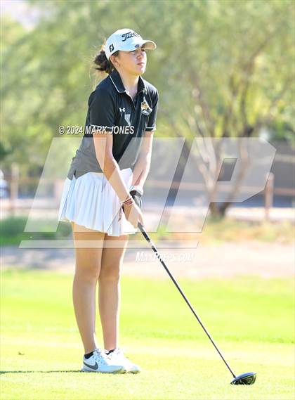 Thumbnail 3 in AIA Division I Championship photogallery.