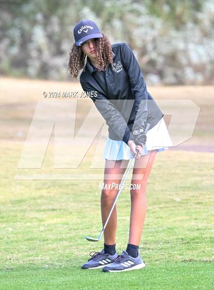 Thumbnail 2 in AIA Division I Championship photogallery.