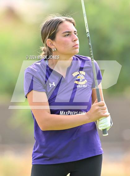 Thumbnail 3 in AIA Division I Championship photogallery.