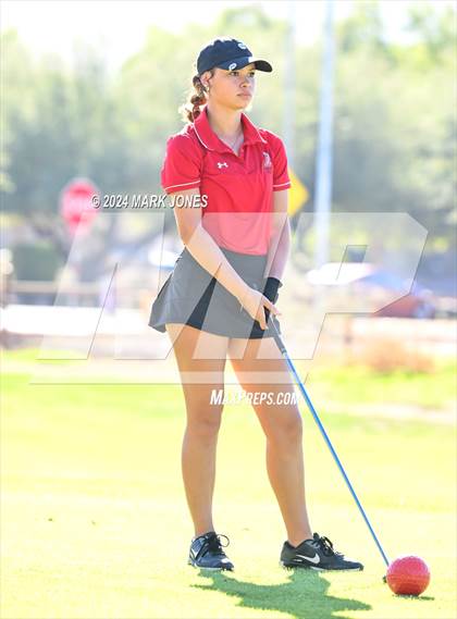 Thumbnail 1 in AIA Division I Championship photogallery.