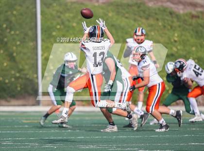 Thumbnail 3 in Los Gatos vs Palo Alto (CIF CCS Open Division Playoff) photogallery.