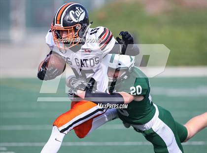 Thumbnail 2 in Los Gatos vs Palo Alto (CIF CCS Open Division Playoff) photogallery.