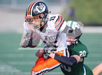 Thumbnail 3 in Los Gatos vs Palo Alto (CIF CCS Open Division Playoff) photogallery.
