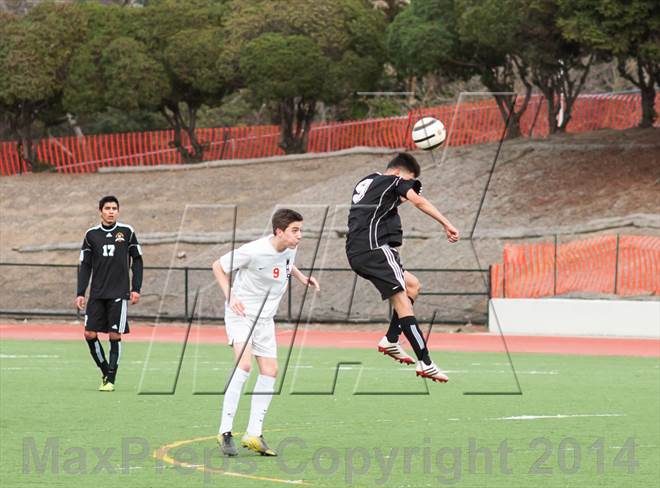 null - Photo 21