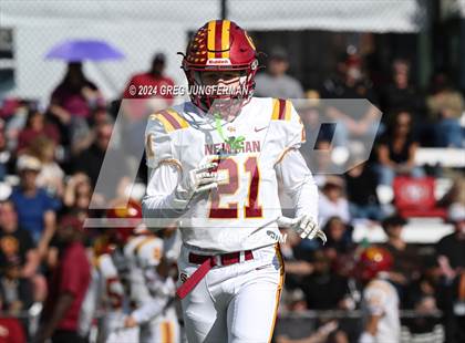 Thumbnail 3 in Cardinal Newman @ Marin Catholic photogallery.
