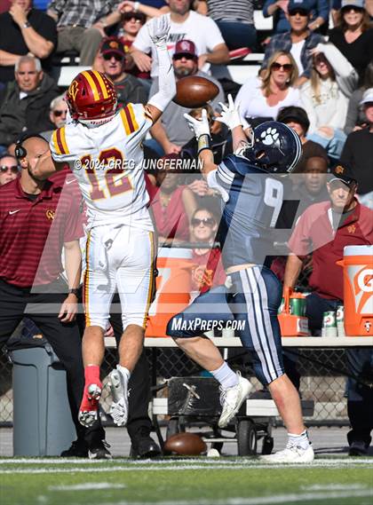 Thumbnail 3 in Cardinal Newman @ Marin Catholic photogallery.