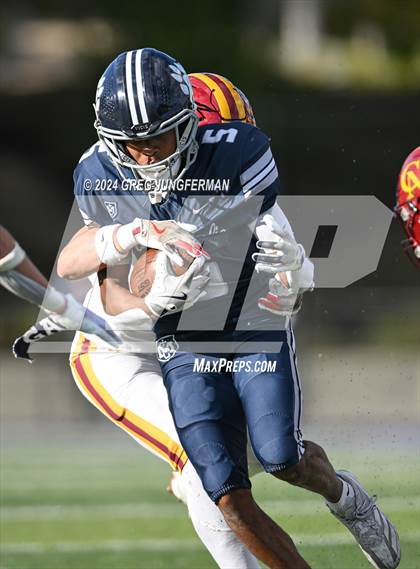 Thumbnail 3 in Cardinal Newman @ Marin Catholic photogallery.