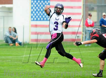 Thumbnail 3 in North Branford @ Cromwell photogallery.