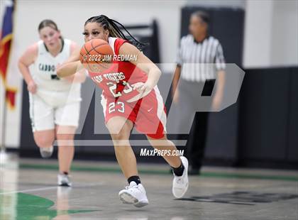 Thumbnail 2 in Terrell @ Caddo Mills photogallery.