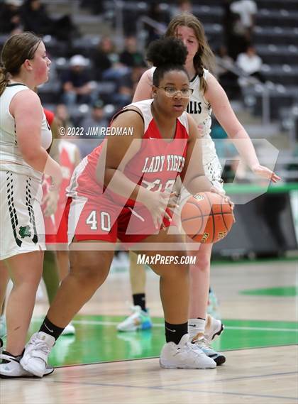 Thumbnail 2 in Terrell @ Caddo Mills photogallery.