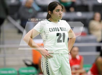 Thumbnail 2 in Terrell @ Caddo Mills photogallery.