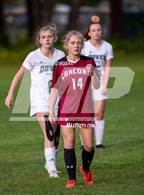 Photo from the gallery "Dover @ Concord"