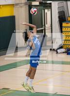 Photo from the gallery "Palo Verde @ Canyon del Oro"