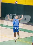 Photo from the gallery "Palo Verde @ Canyon del Oro"