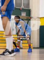 Photo from the gallery "Palo Verde @ Canyon del Oro"