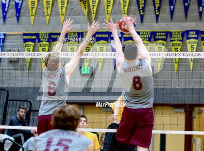Thumbnail 2 in Whitney vs. Del Oro (CIF SJS D1 Semifinal) photogallery.