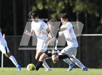 Thumbnail 2 in Apex @ Panther Creek photogallery.