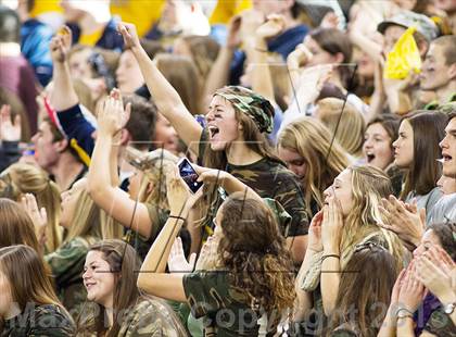 Thumbnail 1 in Detroit Catholic Central vs Clarkston (MHSAA Division 1 Final) photogallery.