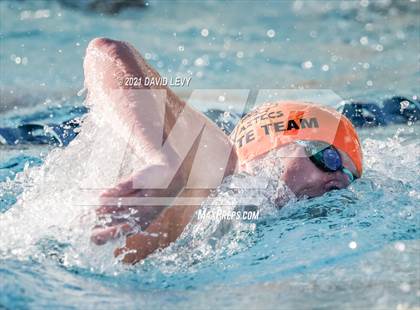 Thumbnail 2 in AIA D1 Swim Finals  photogallery.