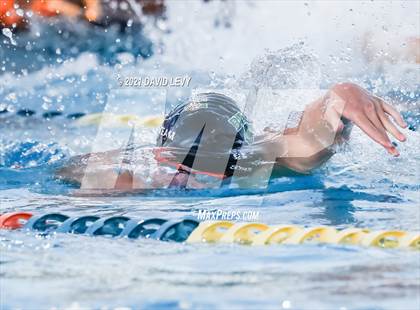 Thumbnail 1 in AIA D1 Swim Finals  photogallery.