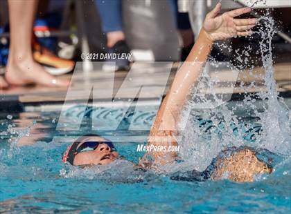 Thumbnail 2 in AIA D1 Swim Finals  photogallery.