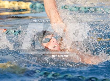 Thumbnail 2 in AIA D1 Swim Finals  photogallery.