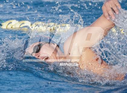 Thumbnail 1 in AIA D1 Swim Finals  photogallery.