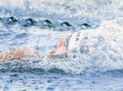Thumbnail 1 in AIA D1 Swim Finals  photogallery.