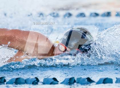Thumbnail 1 in AIA D1 Swim Finals  photogallery.