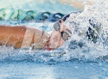 Thumbnail 2 in AIA D1 Swim Finals  photogallery.