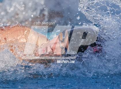 Thumbnail 3 in AIA D1 Swim Finals  photogallery.